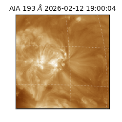 saia - 2026-02-12T19:00:04.843000