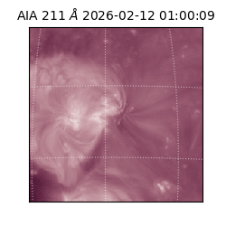 saia - 2026-02-12T01:00:09.632000