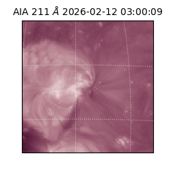 saia - 2026-02-12T03:00:09.626000