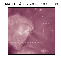 saia - 2026-02-12T07:00:09.619000