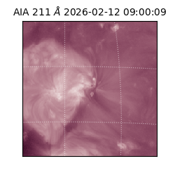 saia - 2026-02-12T09:00:09.626000