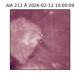 saia - 2026-02-12T10:00:09.626000