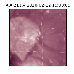 saia - 2026-02-12T19:00:09.626000