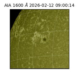 saia - 2026-02-12T09:00:14.131000
