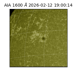 saia - 2026-02-12T19:00:14.129000