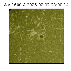 saia - 2026-02-12T23:00:14.131000