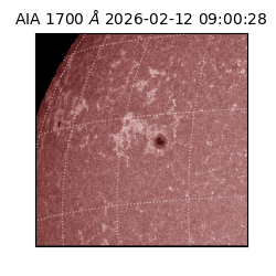 saia - 2026-02-12T09:00:28.722000