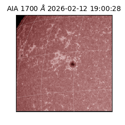 saia - 2026-02-12T19:00:28.717000