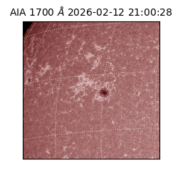 saia - 2026-02-12T21:00:28.710000