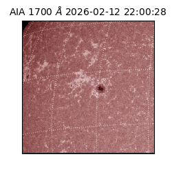 saia - 2026-02-12T22:00:28.721000