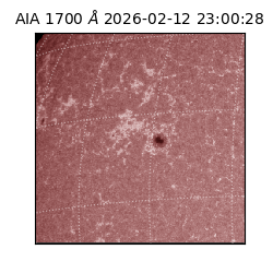 saia - 2026-02-12T23:00:28.709000