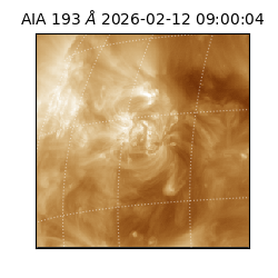 saia - 2026-02-12T09:00:04.843000