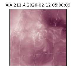 saia - 2026-02-12T05:00:09.618000