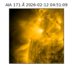 saia - 2026-02-12T04:51:09.350000