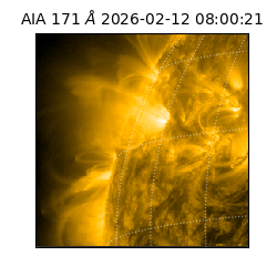 saia - 2026-02-12T08:00:21.350000