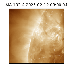 saia - 2026-02-12T03:00:04.843000