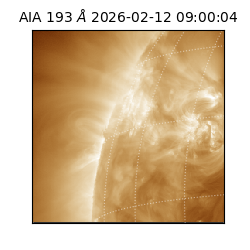 saia - 2026-02-12T09:00:04.843000