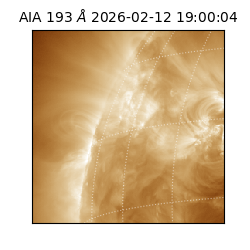 saia - 2026-02-12T19:00:04.843000