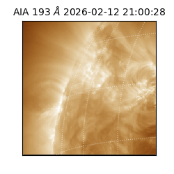 saia - 2026-02-12T21:00:28.835000