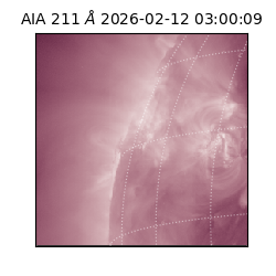 saia - 2026-02-12T03:00:09.626000