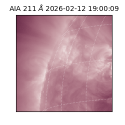 saia - 2026-02-12T19:00:09.626000