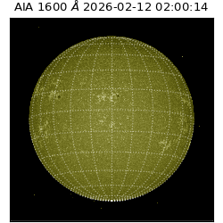 saia - 2026-02-12T02:00:14.125000