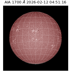 saia - 2026-02-12T04:51:16.720000