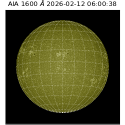 saia - 2026-02-12T06:00:38.125000