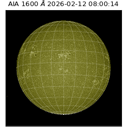 saia - 2026-02-12T08:00:14.118000