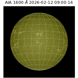 saia - 2026-02-12T09:00:14.131000