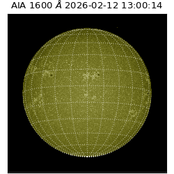 saia - 2026-02-12T13:00:14.131000