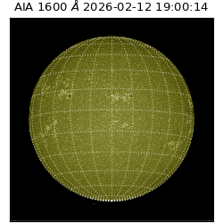 saia - 2026-02-12T19:00:14.129000