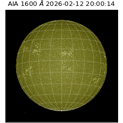 saia - 2026-02-12T20:00:14.118000