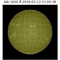 saia - 2026-02-12T21:00:38.118000