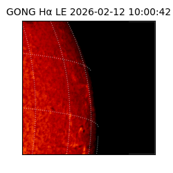 gong - 2026-02-12T10:00:42
