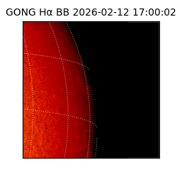 gong - 2026-02-12T17:00:02