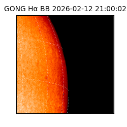 gong - 2026-02-12T21:00:02
