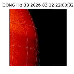 gong - 2026-02-12T22:00:02