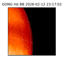 gong - 2026-02-12T23:17:02
