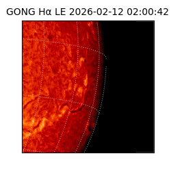 gong - 2026-02-12T02:00:42