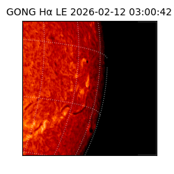 gong - 2026-02-12T03:00:42