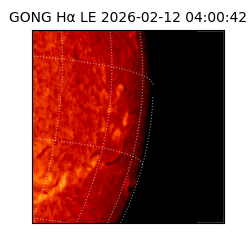 gong - 2026-02-12T04:00:42
