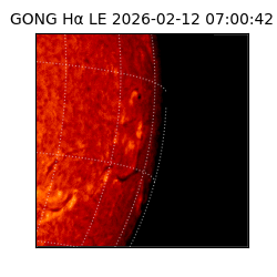 gong - 2026-02-12T07:00:42