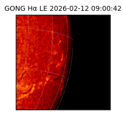 gong - 2026-02-12T09:00:42