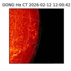 gong - 2026-02-12T12:00:42