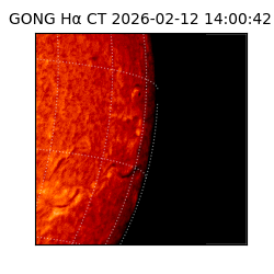 gong - 2026-02-12T14:00:42