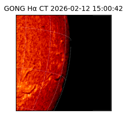 gong - 2026-02-12T15:00:42