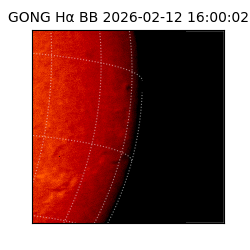 gong - 2026-02-12T16:00:02