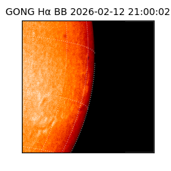 gong - 2026-02-12T21:00:02
