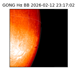 gong - 2026-02-12T23:17:02